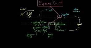 10. Circuit Court (Appellate Court)