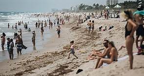 Which Florida beaches are better — the West or East coast? FIU expert ‘Dr. Beach' explains