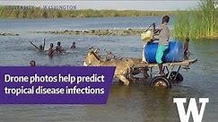 Drone imagery helps predict schistosomiasis infection areas