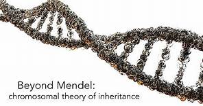 Beyond Mendel : the chromosomal theory of inheritance (an animated lecture video.