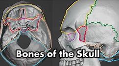 Bones of the Cranium and Face