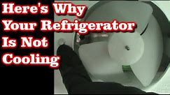 Refrigerator Not Cooling But Freezer Is Fine
