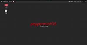 Peppermint OS Gnome Flashback Review November 22 2023