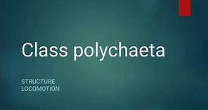 Class Polychaeta | Phylum Annelida | Lecture 1