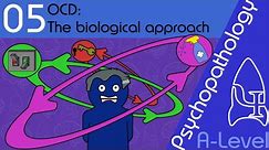 OCD: explaining and treating (Biological approach) - Psychopathology [A-Level Psychology]