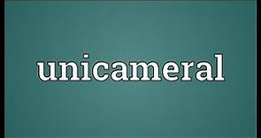 Unicameral Meaning