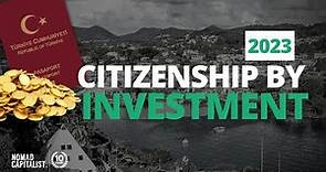 Citizenship by Investment Programmes Explained