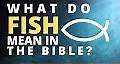 What do fish mean in the Bible? | Short Bible Study