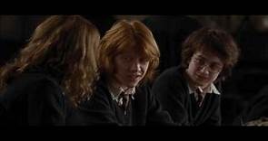 Harry Potter y el Cáliz de Fuego: Pociones año 4