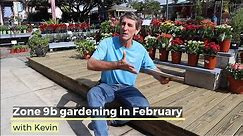 February Zone 9b Gardening with Kevin