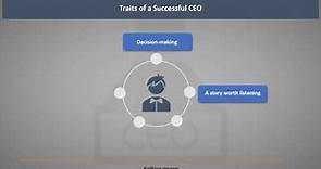 Who is a CEO (Chief Executive Officer)?