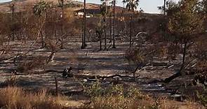 Peters Canyon Aftermath After Canyon Fire 2 - 10/10/2017