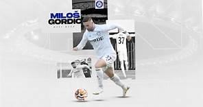 Miloš Gordić ● Centre Forward ● Wuxi Wugo ● Highlights