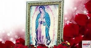 Los 40 Rosarios a la Virgen De Guadalupe. Dia 40