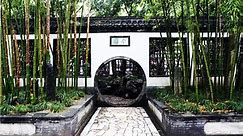 个园，扬州最富盛名的园景之一，环境优美，景观独特