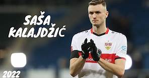Sasa Kalajdzic 2022 ● Best Goals and Skills [HD]