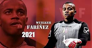 Wuilker Faríñez ● Amazing Saves in National Team 2021 | HD