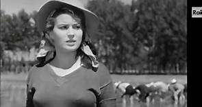 Riso amaro  1/2 (1949 dramma/noir) Silvana Mangano Vittorio Gassman Raf Vallone