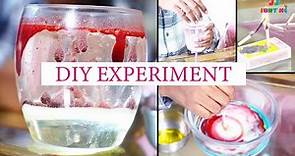 🧪4 Amazing Science Experiments for a Day Inside🧪 | Simple Science Experiments for Kids | JJFuntime