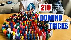 200+ Domino Tricks