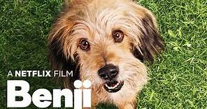 Benji - Trailer Subtitualdo en Español Latino l Netflix