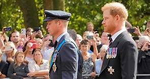 Princes William and Harry walk in queen's coffin procession