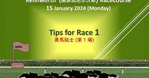 Horse Racing Tips for South Africa (南非凯尼尔沃斯)