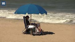 Bidens soak up the sun while reading on hot and windy Delaware beach