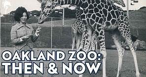Oakland Zoo - Then and Now