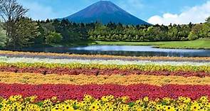 日本自由行：绝对不能错过的富士山网红景点 | All About Japan