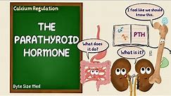 The Parathyroid Hormone | PTH | Calcium Regulation | Endocrine Physiology