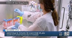 Arizona's COVID-19 vaccine plan