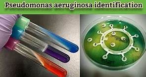 Pseudomonas aeruginosa identification and Laboratory diagnosis (English) - Medical Microbiology