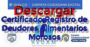 Registrarse y descargar el certificado del REDAM - Registro de Deudores Alimentarios Morosos