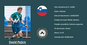 David Pejicic (Udinese | Slovenia) footage vs USYNT U15