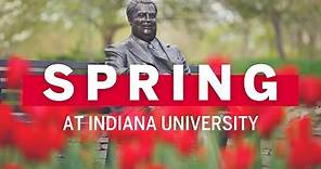 Springtime at Indiana University Bloomington