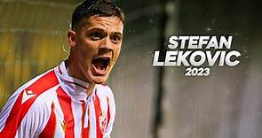 Stefan Leković - Solid Young Defender