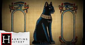 The History Of Black Cats