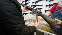 Monthly US gun sales hit record high
