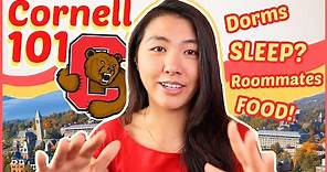 🐻EVERYTHING to know about Cornell University (for Prospective Students + Freshmen!) | Katie Tracy