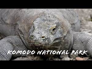 Komodo National Park - Indonesia