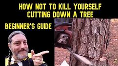 How to Cut Down Your First Tree Safely - Beginner's Guide To Tree Felling