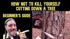 How to Cut Down Your First Tree Safely - Beginner's Guide To Tree Felling