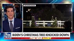 Biden's Christmas tree knocked down