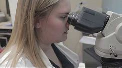 What does a Medical Laboratory Scientist do?