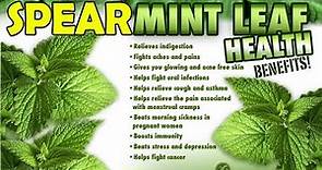 6 Amazing Health Benefits Of Spearmint | Spearmint | Tips Sharing