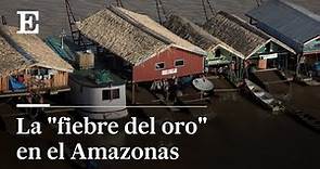 BRASIL | La FIEBRE DE ORO que devasta el AMAZONAS
