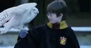 Harry and Hedwig in the snow | FILM CLIP | Harry Potter and the Philosopher's Stone