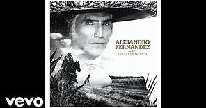 Alejandro Fernández - Decepciones (Audio Oficial)