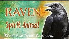 Raven Spirit Animal | Raven Totem & Power Animal | Raven Symbolism & Meanings